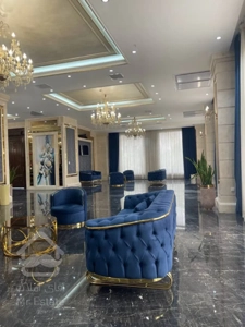 رونیکاپالاس دردشت برای آینده خانواده ها