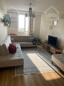 ۷۰ منر فول رو به آفتاب در باغ فیض