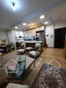 ۶۰ متر فول رو به آفتاب در جنت آباد