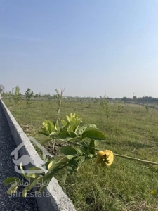 باغ پلاک ۲ جاده اصلی