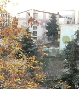 ۴۵۰  متر  کلنگی  در منطقه  زعفرانیه