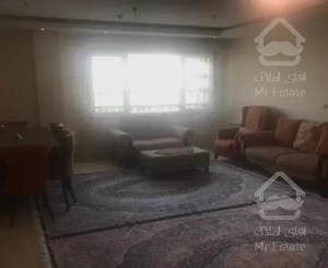 ۱۱۳متر ارزنده در صادقیه