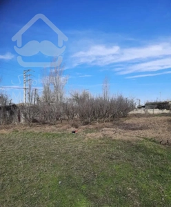 با غ بزرگ روستایی