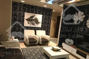 ۸۱ متر دزاشیب دسترسی