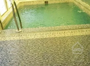 ویلاباغ اجاره ای استخردارابگرم آلما (گرگان)