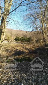 فروش زمین روستا