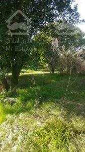 فروش باغ 300 متري منطقه دنج و غير بومي