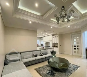 فلامک/ ۲۵۰ متر سازه برند نوساز / مشاعات هتلینگ