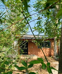 ویلاباغ قدیمی/سندتکبرگ/حیاط مشجر/خطیب‌کلا