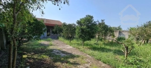 ویلاباغ۳۸۰متربا درختان مرکبات زیر قیمت فریدونکنار