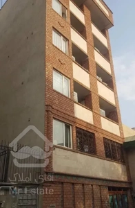 ۶۵ متر سند تک برگ