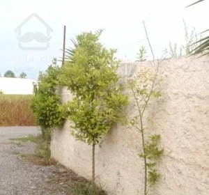 ویلا فلت اسخردار