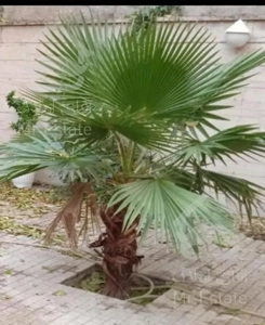 آپارتمان ۱۷۲ متری - ۱۰۰ متر حیاط اختصاصی -خوش نقشه