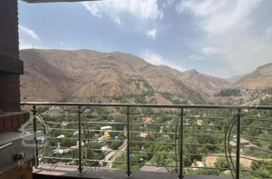 ۲۶۵ تک واحدی میگون نو