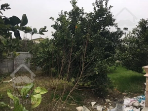 سرمایه گذاری در شمال