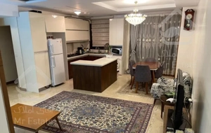 ۷۸ متر    نوساز    کم واحد     پونک     شهرک نفت