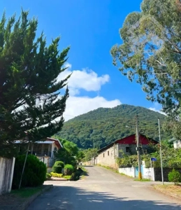 ۱۱۰ متری دو خوابه ، چشم انداز رویایی