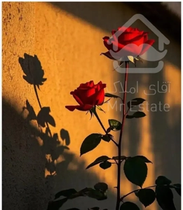 سویت یک خواب طبقه اول با پارکینگ