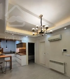 ۵۵ متر/ سپه/ تک واحدی/ خوش نقشه