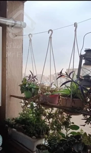 فروش آپارتمان ۴۵ متری ۱ خوابه در کوی هفدهم شهریور