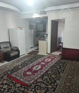 ۵۵ متر تک خواب گل خیابان کاشان
