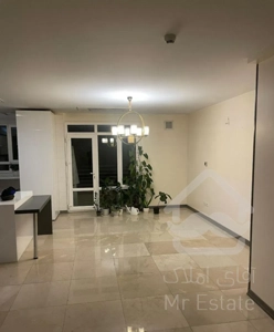 فروش آپارتمان ۱۲۰ متری ۲ خوابه در شریف