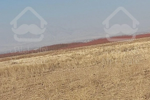 ویلا باغ 400 متر شبستر