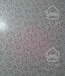 رنگ آمیزی ساختمان و لکه گیر ی گچکاری