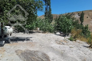 ویلا باباغ درخلخال.روبروی آبگرم.روستای هواشانق