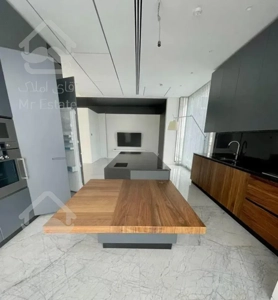 ٣٠٠متر مدرن/٢٠ متر تراس/ ویوو ٢طرف