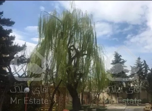 ۱۱۰ متر فول پونک زیتون