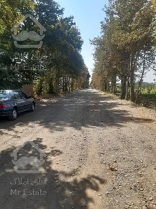 زمین شهرکی 600 متری بسیار عالی در کردان