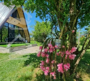 اجاره کلبه چوبی سوئیسی ماسال نوساز