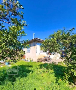 خونه روستایی کلنگی 700متردرختان مرکبات سندتکبرک