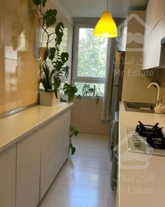 ۵۴ متری یک خواب ،بهار شمالی