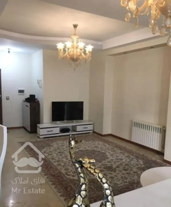 فرودس غرب. بهار شمالی. بنفشه.