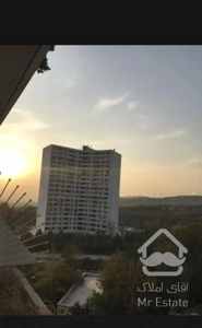 ستاره ای در دل جنگل و بام تهران