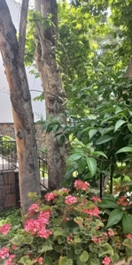 آپارتمان تکخواب فول غرق نور