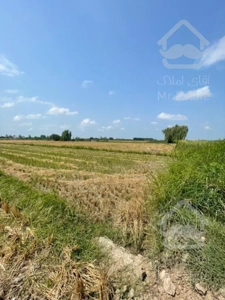 فروش زمين كشاورزي ٤٠٠٠ متري موقعيت استثنائي