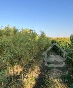 باغ چهاردیواری ۱۰۰۰ متری با تبرئه تیمیارت