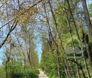 اجاره کوتامدت نزدیک ب ابگرم