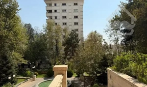 دیباجی شمالی /۳۰۰متر پنت لوکس