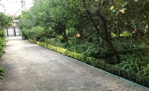 فروش ویلا باغ ، چهارصد دستگاه رامسر