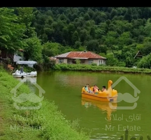کلبه جنگلی بغل دوتا دریاچه با قو سواری