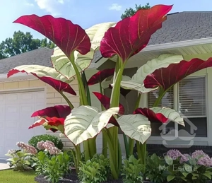 آپارتمان  ۱۰۰ متری در تهرانسر