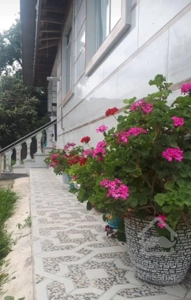 ۲ خواب بزرگ  کنار رودخانه  کوهپایه   دربست