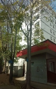 فروش آپارتمان ۹۴ متری ۲ خوابه-خیابان سیدی