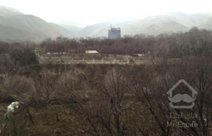 اکازیون کن چهار سر نور و ویو 360