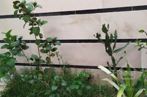 فروش خانه ویلایی 100 متری ۲ خوابه.کامل اباد