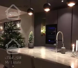 اقدسیه صاحبقرانیه ٣٢٠ متر نیوکلاسیک